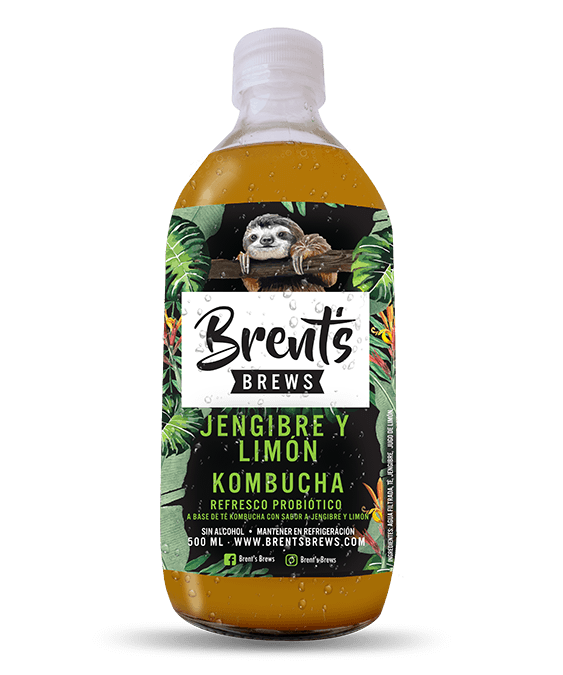 Kombucha Sabor Jengibre y Limón