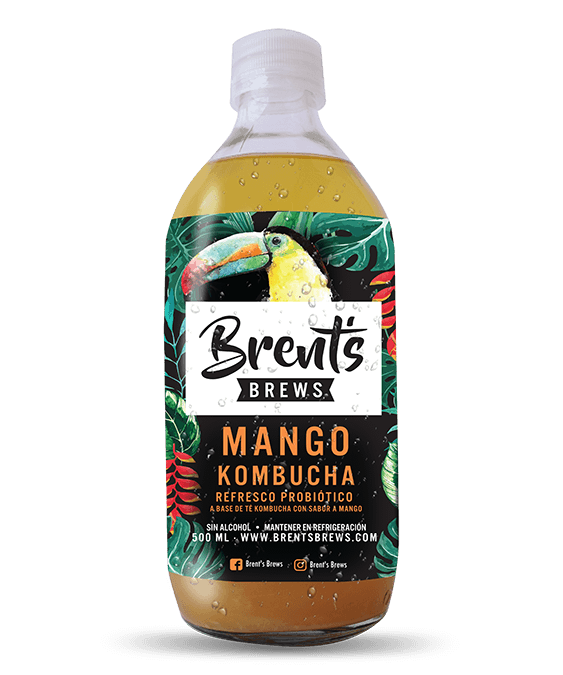 Kombucha sabor mango