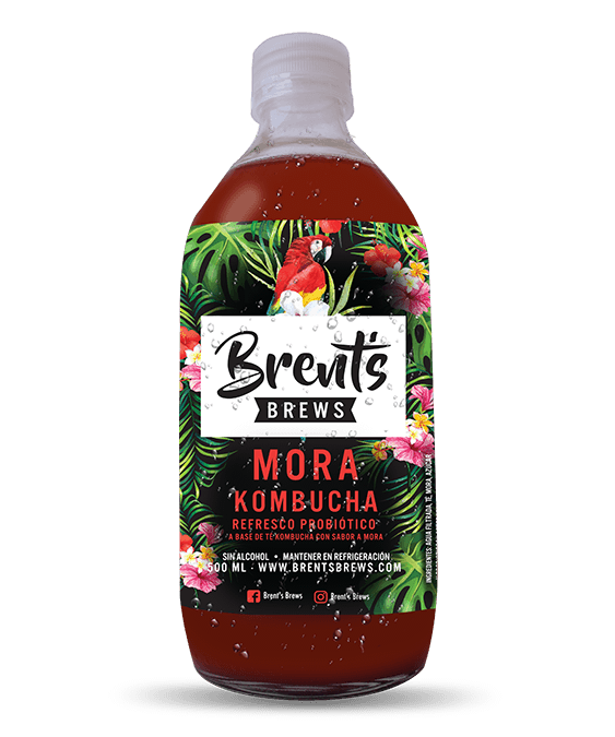 Kombucha Sabor Mora