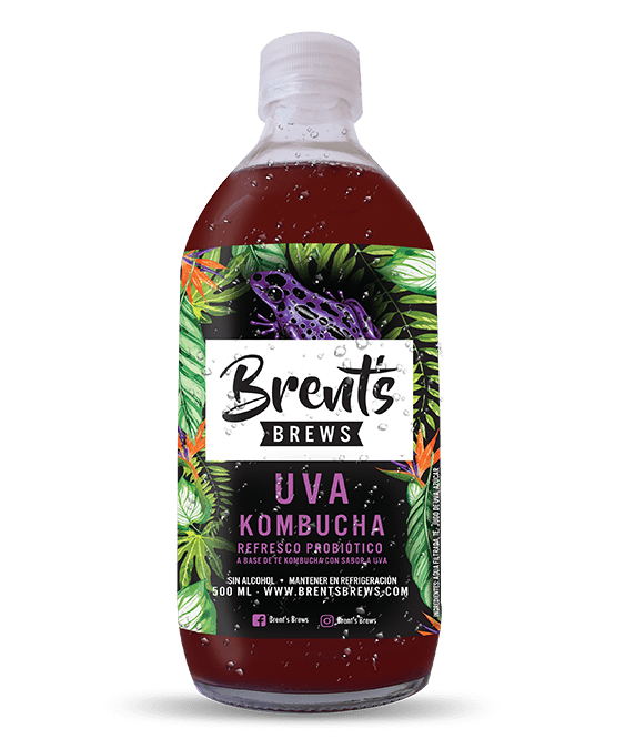 Kombucha Sabor Uva